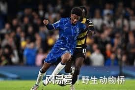 维基体育平台-Faker新星大比分获胜表现突出，切尔西前途光明！的简单介绍